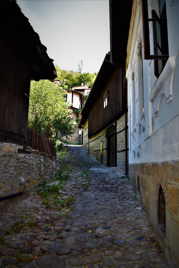 Hotel Bilyana Loveč Exteriér fotografie